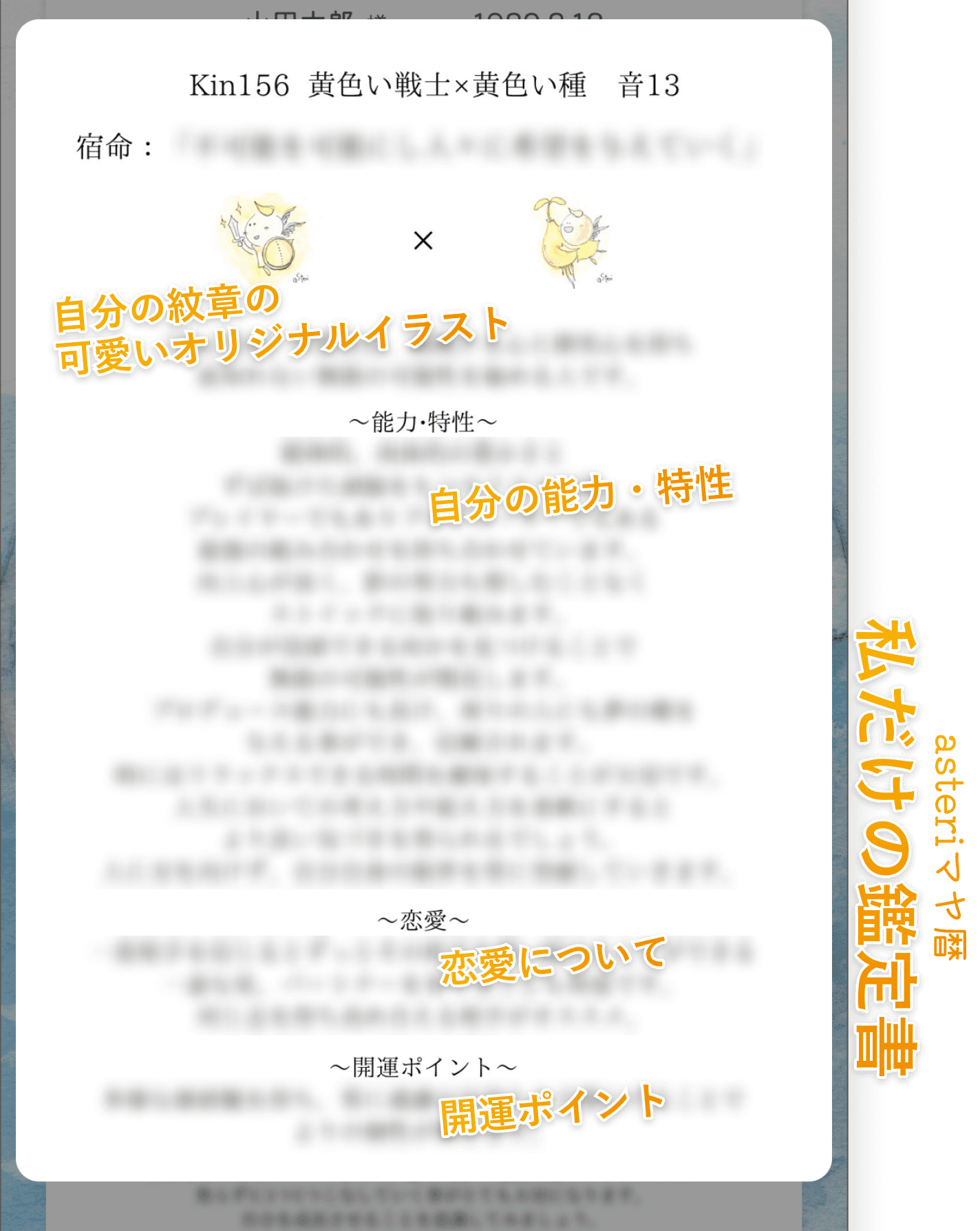 鑑定書2